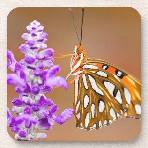 Dessous-de-verre Bright Orange Gulf Fritillary Butterfly