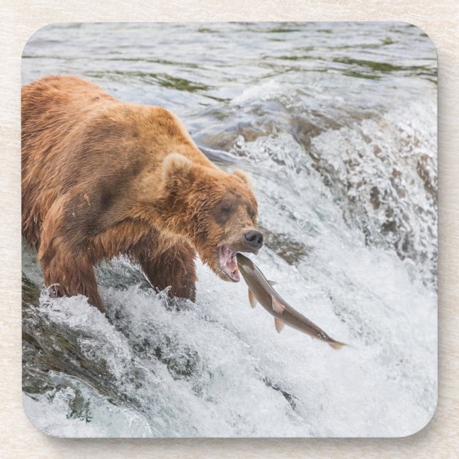 Dessous-de-verre Brown Bear Catches Red Salmon (Devant)