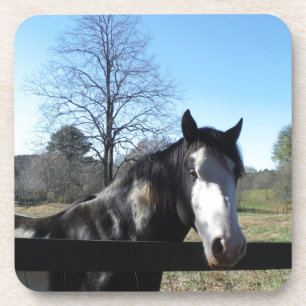 Dessous-de-verre Brown &blanc, Cheval Peint, ciel bleu vif
