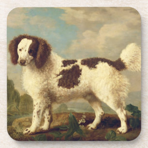Dessous-de-verre Brown et blanc Norfolk ou Water Spaniel, 1778 (oi