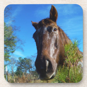 Dessous-de-verre Brown et crème Couleur Cheval bleu ciel