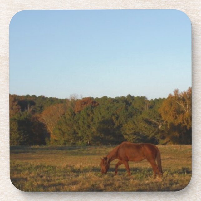 Dessous-de-verre Brown horse in the Sun (Devant)