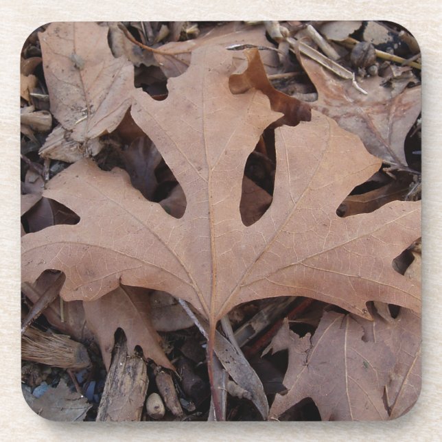 Dessous-de-verre Brown Leaf Coasters. (Devant)