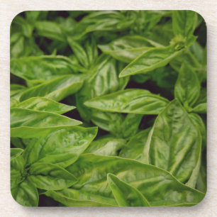 Dessous-de-verre Cahier Basil