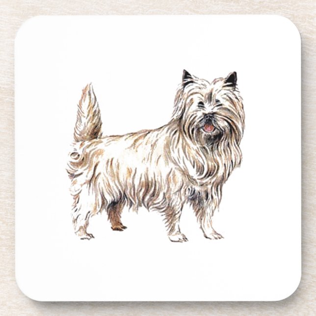Dessous-de-verre Cairn Terrier (Devant)