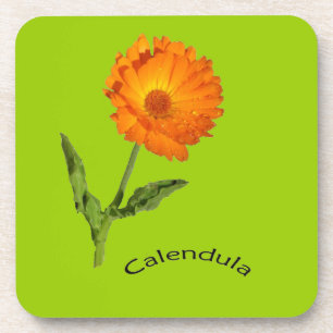 Dessous de verre - Calendula
