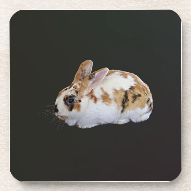 Dessous-de-verre Calico Rabbit (Devant)