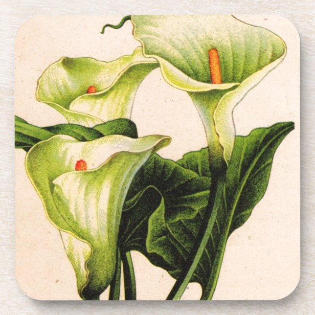 Dessous-de-verre calla lily (Devant)