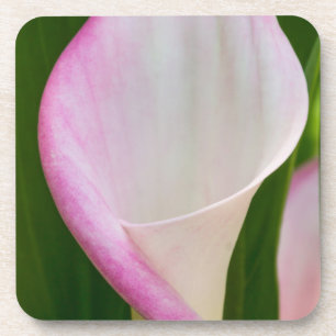 Dessous-de-verre Calla Pano