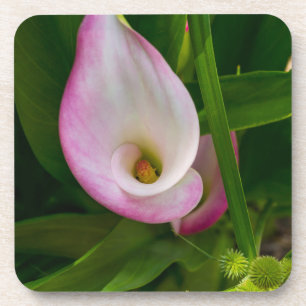 Dessous-de-verre Calla Roll