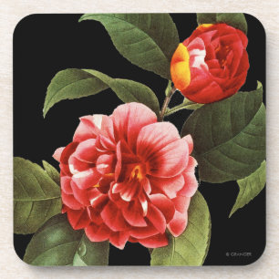 Dessous-de-verre Camélia rouge, 1833