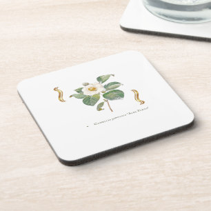 Dessous-de-verre Camellia japonica 'Alba Plena' 