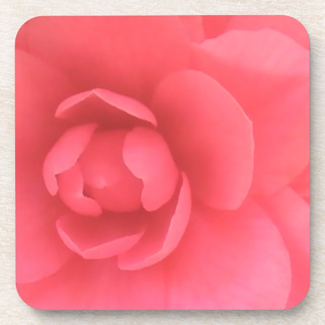 Dessous-de-verre Camellia rose (Devant)