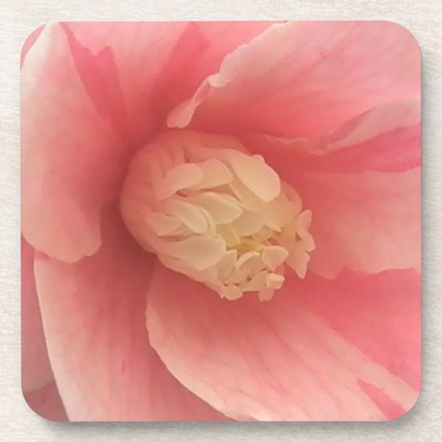 Dessous-de-verre Camellia rose (Devant)