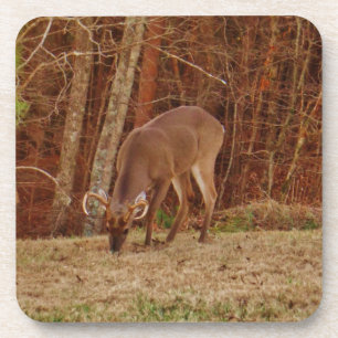 Dessous-de-verre Camouflage en chêne rouge Stag Buck Deer Nourritur