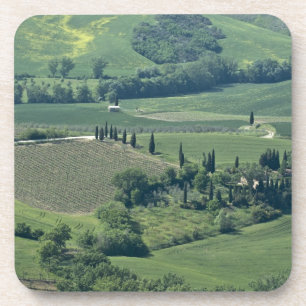 Dessous-de-verre Campagne près de Montepulciano, Val d'Orcia,