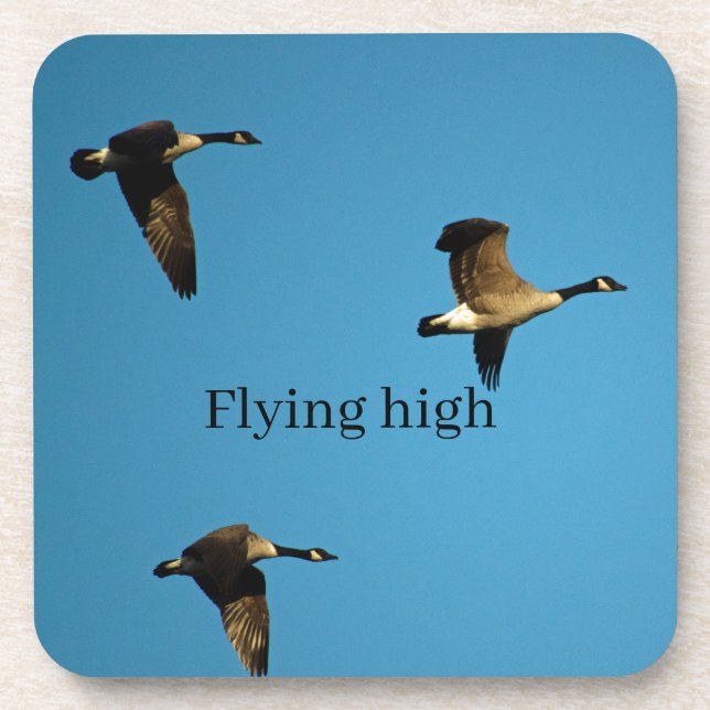 Dessous-de-verre Canadian geese (Devant)