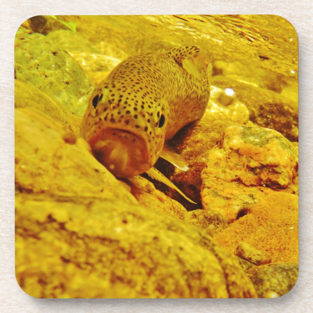 Dessous-de-verre Canal en flux (Devant)