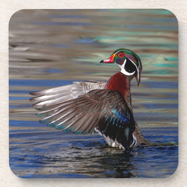 Dessous-de-verre Canard à bois (Devant)