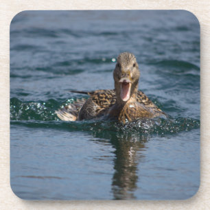 Dessous-de-verre Canard avec bec ouvert