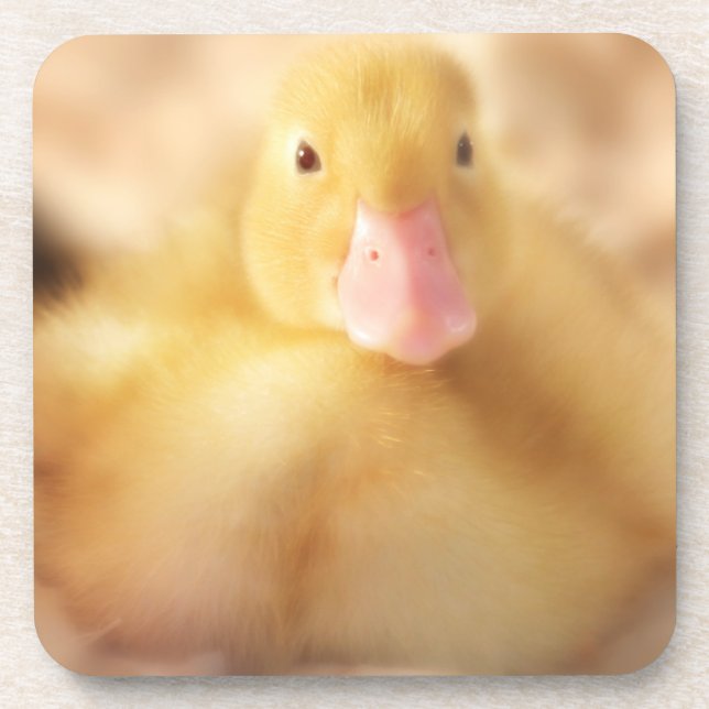 Dessous-de-verre Canard Jaune Fuzzy Bébé de Pâques Canard (Devant)