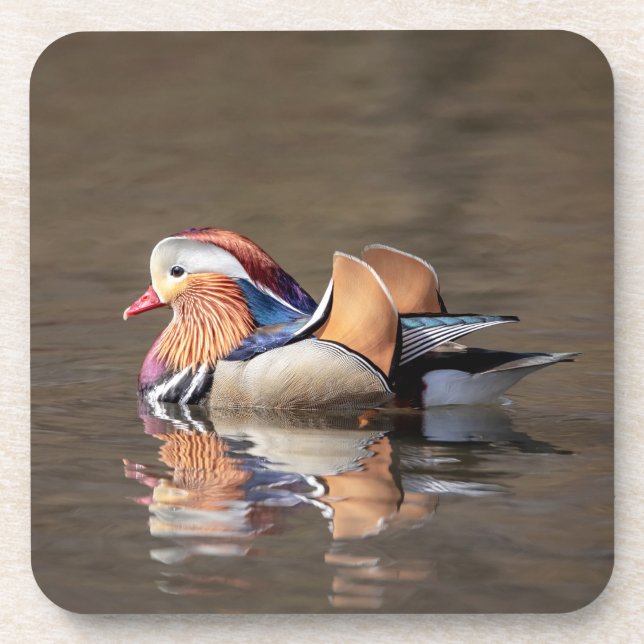 Dessous-de-verre Canard mandarin (Devant)