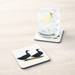 Dessous-de-verre Canards : Cayugas noirs