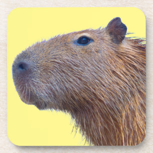 Dessous-de-verre Capybara