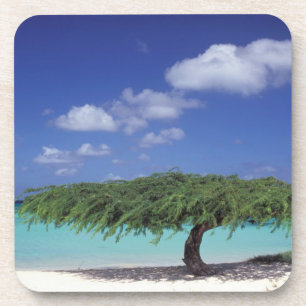 Dessous-de-verre Caraïbes, Aruba. Plage Eagle