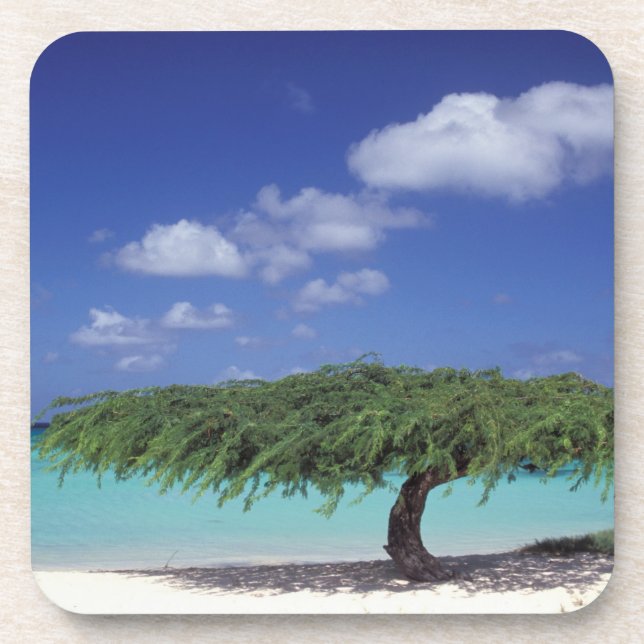 Dessous-de-verre Caraïbes, Aruba. Plage Eagle (Devant)