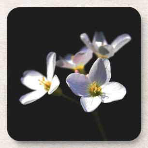 Dessous-de-verre Cardamine Pratensis Fleurs coastercna