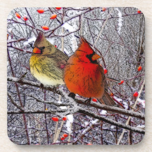 Dessous de verre cardinaux de forêt