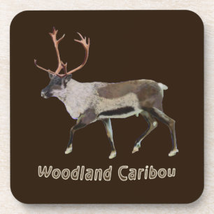 Dessous-de-verre Caribou des bois