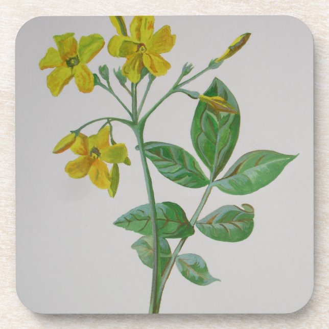 Dessous-de-verre Carolina Jasmine Botanique Art (Devant)