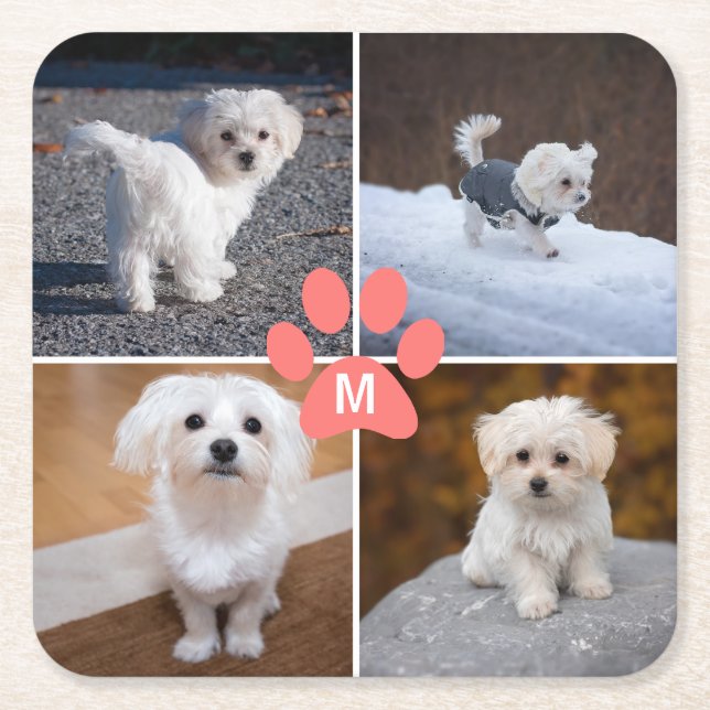 Dessous-de-verre Carré En Papier 4 Pieds Rose Photo Chien Personnalisé Pour Animaux (Devant)