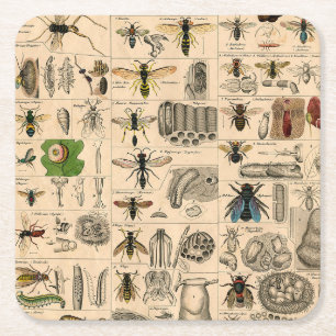 Dessous-de-verre Carré En Papier Abeille Insecte Bug Wasp Nature Peinture des abeil