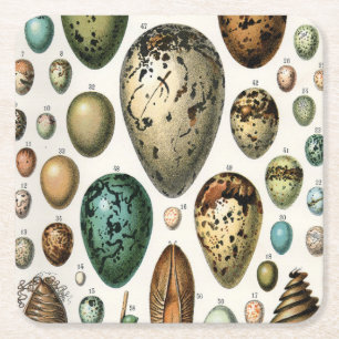 Dessous-de-verre Carré En Papier Adolphe Millot Académie sombre Art vintage d'œuf d