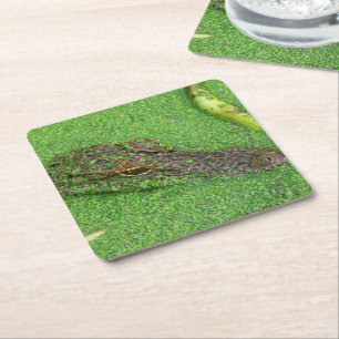 Dessous-de-verre Carré En Papier Alligator