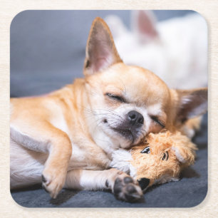 Dessous-de-verre Carré En Papier Animaux de bébés cutest   Chihuahua Chig aux cheve