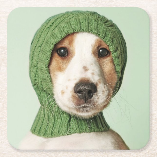 Dessous-de-verre Carré En Papier Animaux de bébés cutest | Cocker Spaniel (Devant)