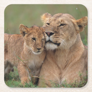 Dessous-de-verre Carré En Papier Animaux de bébés cutest   Lion Cub & Mother