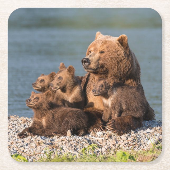 Dessous-de-verre Carré En Papier Animaux de bébés cutest | Mère Ours & Cubs (Devant)
