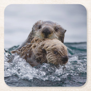 Dessous-de-verre Carré En Papier Animaux de bébés cutest Otter Baby & Mère