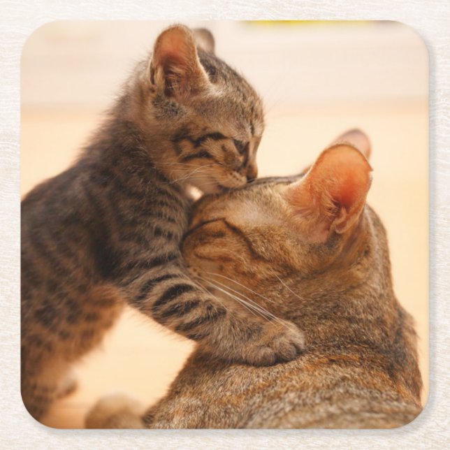 Dessous-de-verre Carré En Papier Animaux de bébés cutest | Tabby Kitten Kiss (Devant)