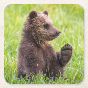 Dessous-de-verre Carré En Papier Animaux de bébés cutest Vague d'ours Brown