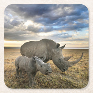 Dessous-de-verre Carré En Papier Animaux de bébés cutest   White Rhino & Calf