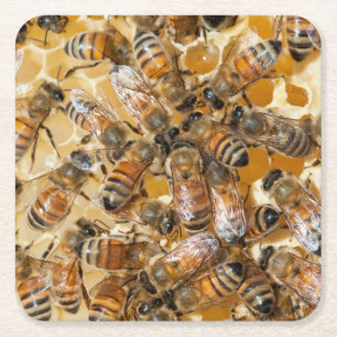 Dessous-de-verre Carré En Papier Apiculture à Arlo's Honey Farm