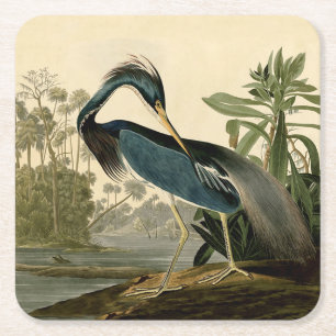 Dessous-de-verre Carré En Papier Audubon Héron de Louisiane Oiseaux Amérique Art