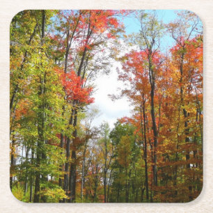 Dessous-de-verre Carré En Papier Automnes Arbres et Ciel bleu Automne Photographie 