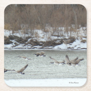 Dessous-de-verre Carré En Papier B7 Oies canadiennes sur la rivière en hiver